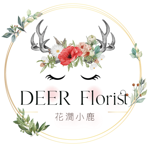 花澗小鹿 Deer Florist